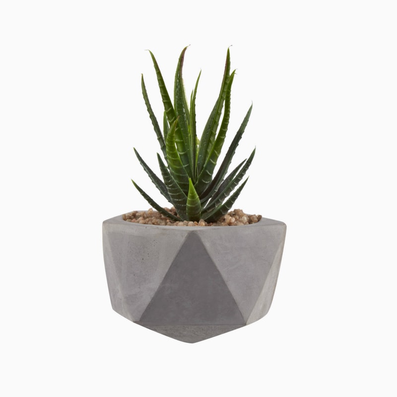 product-06 گلدان آپارتمانی دراسنا کامپکت - تصویر 1